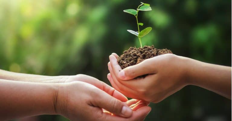 O que e ESG na agricultura 768x402 1