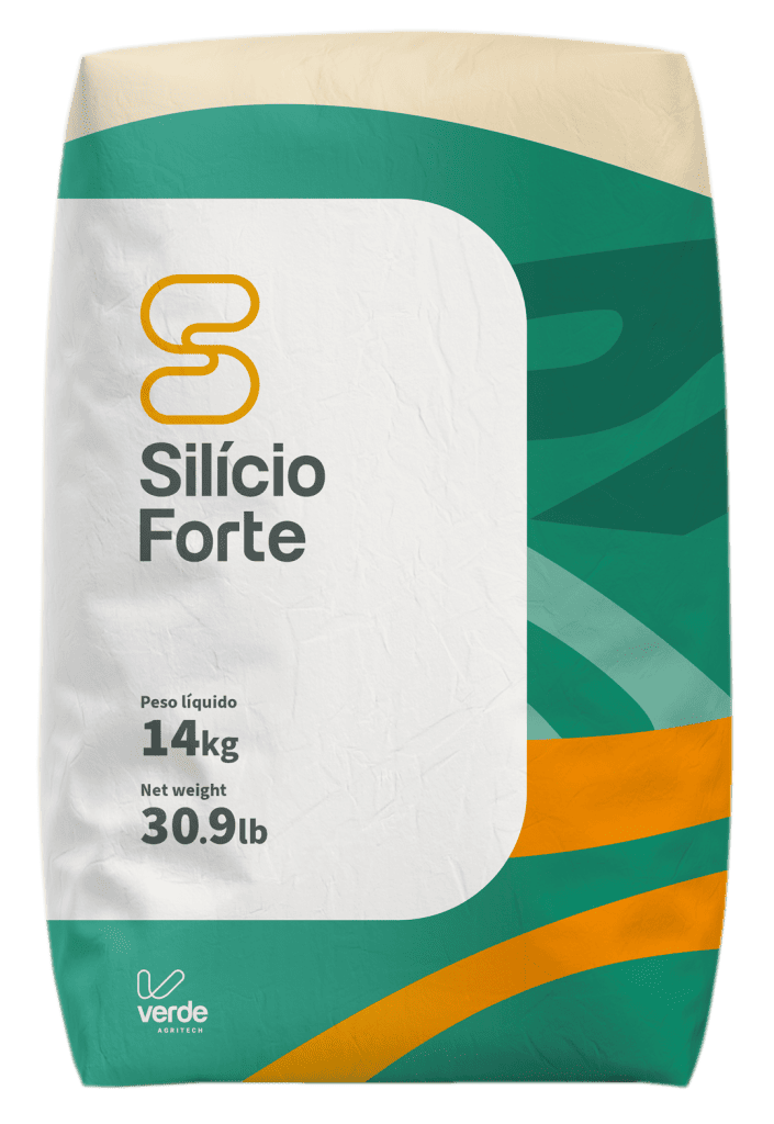 MOCKUP SILICIOFORTE